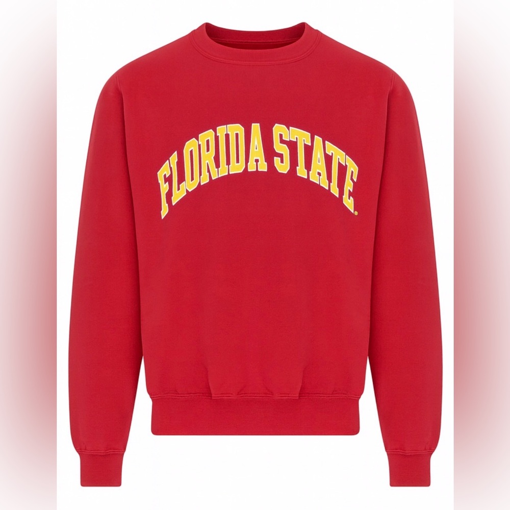 Vintage Florida State University Crewneck Sweatshirt L Steve & Barry’s NCAA